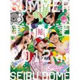 「ももクロ夏のバカ騒ぎ SUMMER DIVE 2012 西武ドーム大会」 LIVE DVD-BOX